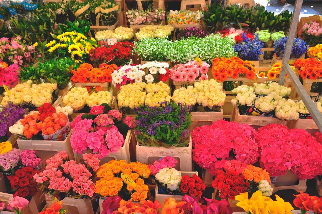 Скачать образец бизнес план цветочного магазина