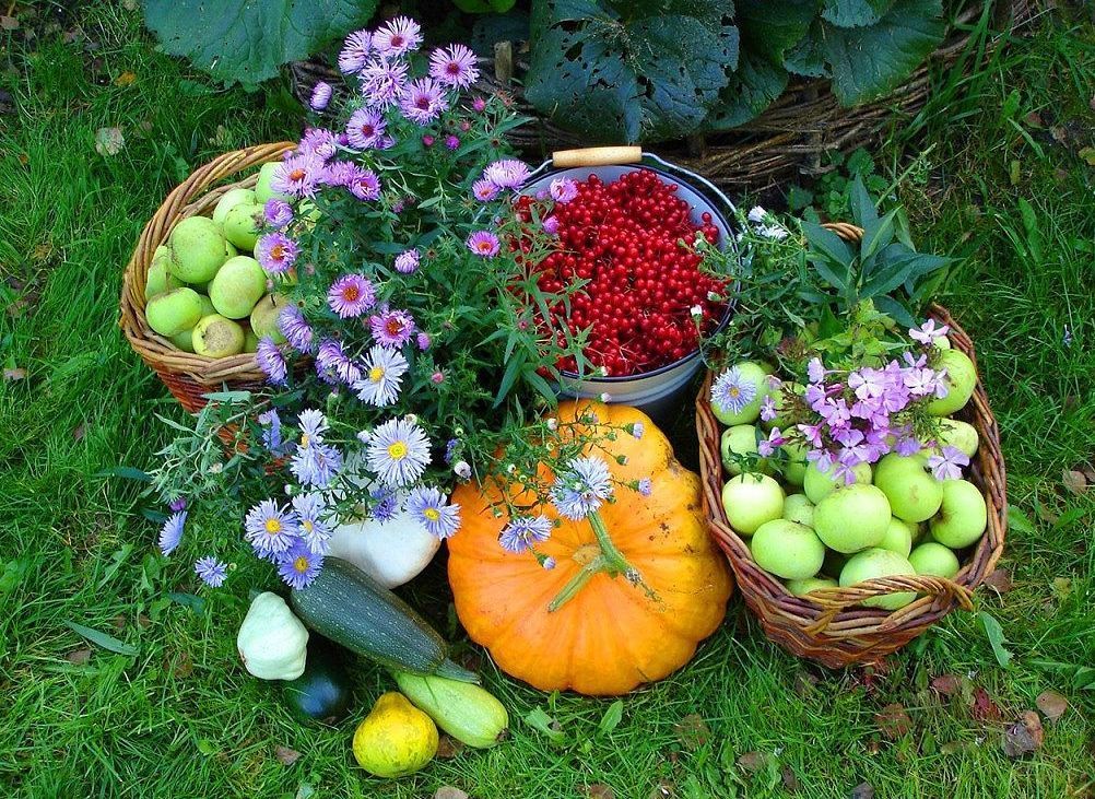 Выращивание овощей и фруктов