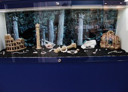 Секреты оформления витрины магазина