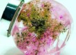Цветы в глицерине — 2 технологии изготовления