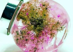 Цветы в глицерине - 2 технологии изготовления