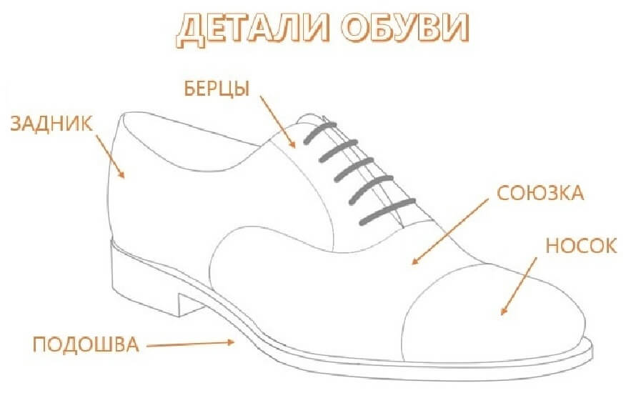 Из чего состоит обувь